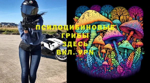 герыч Алексин