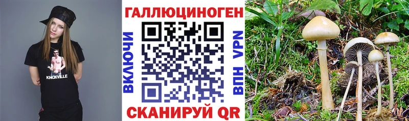 Купить закладки  Печоры  Галлюциногенные грибы Cubensis 